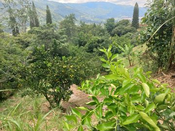 VENDO FINCA DE UNA HECTÁREA ENTRE GIRARDOTA Y BARBOSA ANTIOQUIA