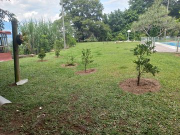 VENDO FINCA DE UNA HECTÁREA ENTRE GIRARDOTA Y BARBOSA ANTIOQUIA