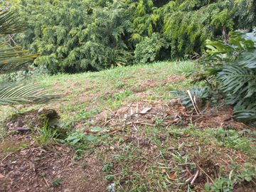 VENDO FINCA DE UNA HECTÁREA ENTRE GIRARDOTA Y BARBOSA ANTIOQUIA