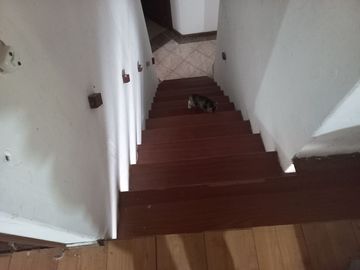 VENDO FINCA DE UNA HECTÁREA ENTRE GIRARDOTA Y BARBOSA ANTIOQUIA