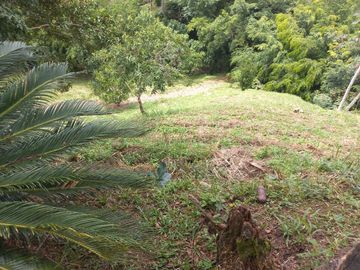 VENDO FINCA DE UNA HECTÁREA ENTRE GIRARDOTA Y BARBOSA ANTIOQUIA