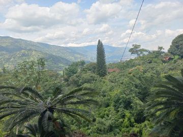 VENDO FINCA DE UNA HECTÁREA ENTRE GIRARDOTA Y BARBOSA ANTIOQUIA