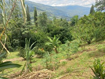 VENDO FINCA DE UNA HECTÁREA ENTRE GIRARDOTA Y BARBOSA ANTIOQUIA