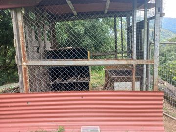 VENDO FINCA DE UNA HECTÁREA ENTRE GIRARDOTA Y BARBOSA ANTIOQUIA