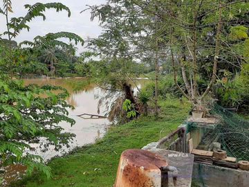 Lakeside House Sekupang: Luxury Residence in Shangrila Garden for Sale