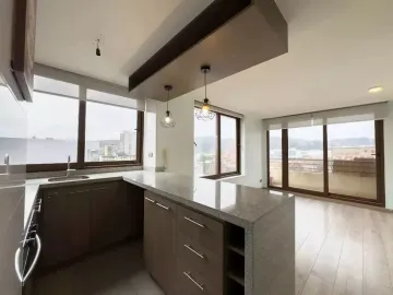 Hermoso Departamento En Janequeo