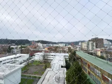 Hermoso Departamento En Janequeo
