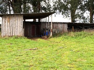 Parcela en el Salto Comuna de los Lagos 5000mt2 $ 70.000.000.