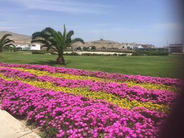 ¡SE VENDE!  EXCELENTE TERRENO DE PLAYA EN CONDOMINIO, CORAL KM 94.3 PANAMERICA SUR, ASIA, CAÑETEete.