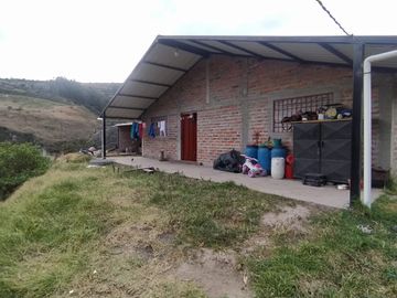 EN MIRA, VENDO PROPIEDAD, 4 HAS, CASA,SEMBRIOS AGUACATE EN PRODUCCION