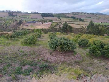 EN MIRA, VENDO PROPIEDAD, 4 HAS, CASA,SEMBRIOS AGUACATE EN PRODUCCION