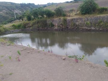EN MIRA, VENDO PROPIEDAD, 4 HAS, CASA,SEMBRIOS AGUACATE EN PRODUCCION