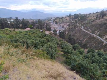 EN MIRA, VENDO PROPIEDAD, 4 HAS, CASA,SEMBRIOS AGUACATE EN PRODUCCION