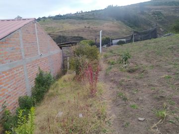 EN MIRA, VENDO PROPIEDAD, 4 HAS, CASA,SEMBRIOS AGUACATE EN PRODUCCION
