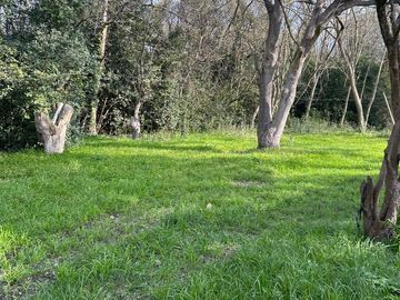 Lote De 40x167 En Punta Indio, Provincia De Buenos Aires.