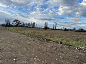 Parcelas 5.000M2 km 21 camino a Termas de Chillán, Pinto