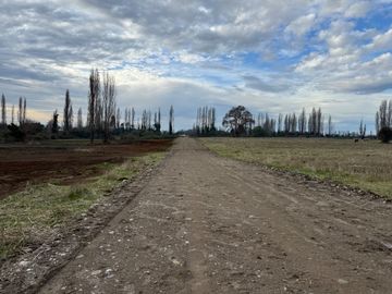 Parcelas 5.000M2 km 21 camino a Termas de Chillán, Pinto