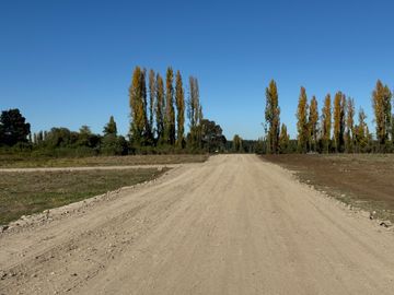 Parcelas 5.000M2 km 21 camino a Termas de Chillán, Pinto