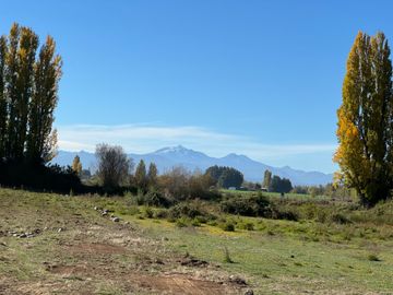 Parcelas 5.000M2 km 21 camino a Termas de Chillán, Pinto