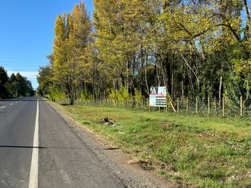 Parcelas 5.000M2 km 21 camino a Termas de Chillán, Pinto