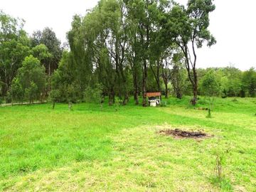Parcela con Casa Los Lagos-Riñihue $ 150.000.000.-