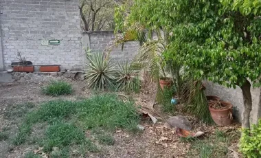 10 De Abril Temixco Morelos Casa En Venta Para Remodelar Con Alberca 3 Recamaras