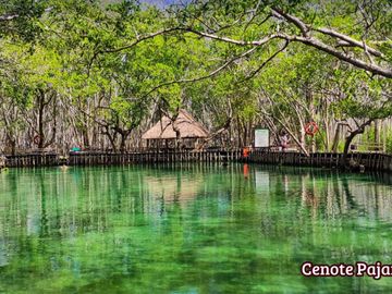 Condominio con acceso a la playa, en venta, zona Progreso, Merida, Yucatan