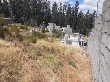 Vendo 620m2 de terreno plano en la Urbanización Prados del Río