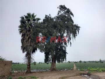 Venta De Terreno De 10.6520 Ha En Aucllama