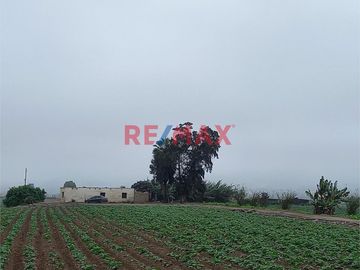 Venta De Terreno De 10.6520 Ha En Aucllama