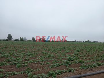 Venta De Terreno De 10.6520 Ha En Aucllama