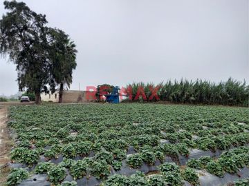 Venta De Terreno De 10.6520 Ha En Aucllama