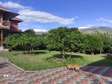 EN VENTA CASA DE CAMPO 1600 MTS DE TERRENO, CASA AMPLIA Y AREAS VERDES CON ARBOLES FRUTALES Y TODOS LOS SERVICIOS BASICOS