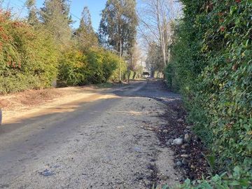 Venta Parcela 5000m2 en sector Oliveto, Talagante
