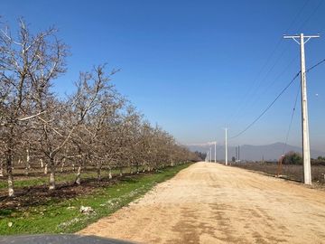 Venta Parcela 5000m2 en sector Oliveto, Talagante