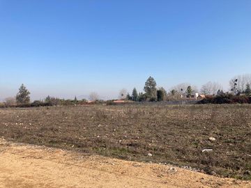 Venta Parcela 5000m2 en sector Oliveto, Talagante