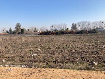 Venta Parcela 5000m2 en sector Oliveto, Talagante