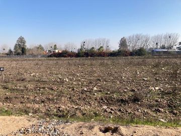 Venta Parcela 5000m2 en sector Oliveto, Talagante