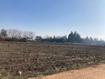 Venta Parcela 5000m2 en sector Oliveto, Talagante