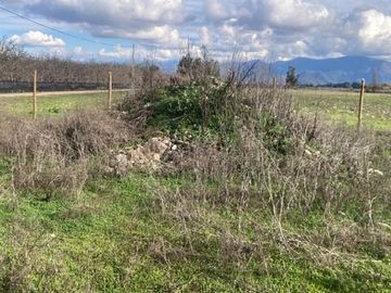 Venta Parcela 5000m2, El Oliveto, Talagante