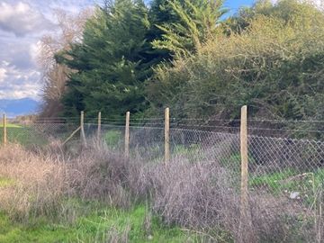 Venta Parcela 5000m2, El Oliveto, Talagante