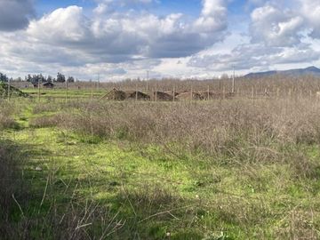 Venta Parcela 5000m2, El Oliveto, Talagante