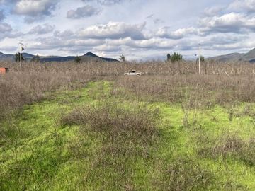Venta Parcela 5000m2, El Oliveto, Talagante
