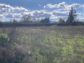 Venta Parcela 5000m2, El Oliveto, Talagante