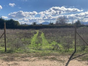Venta Parcela 5000m2, El Oliveto, Talagante