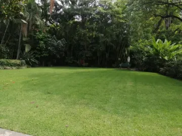 Chapultepec Cuernavaca Casa En Fraccionamiento Con Vigilancia 4 Recamaras