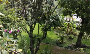 Chapultepec Cuernavaca Casa En Fraccionamiento Con Vigilancia 4 Recamaras