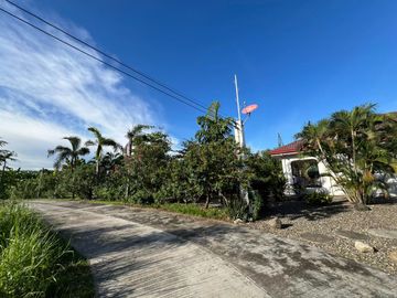 House and Lot for SALE Talisay City, Cebu -Stunning Home and Garden with huge land