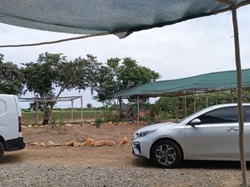 VENDO AMPLIO TERRENO DE 5 HECTÁREAS EN PAMPA DE ÑOCO (CERCA A PLAYA TOTORITAS). – CHINCHA ALTA