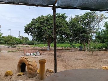 VENDO AMPLIO TERRENO DE 5 HECTÁREAS EN PAMPA DE ÑOCO (CERCA A PLAYA TOTORITAS). – CHINCHA ALTA